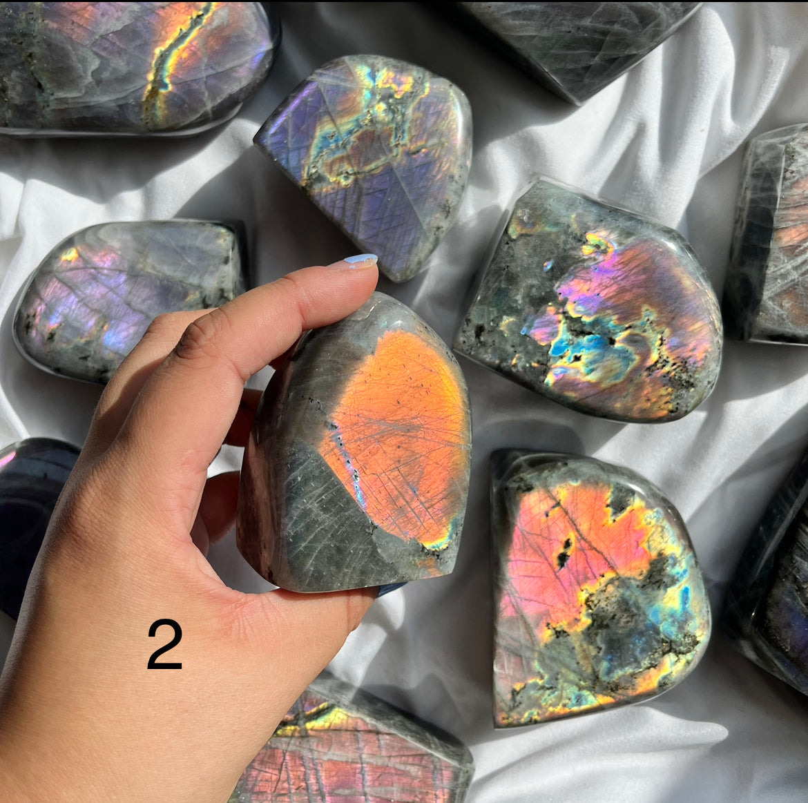 Rainbow Labradorite Freeforms