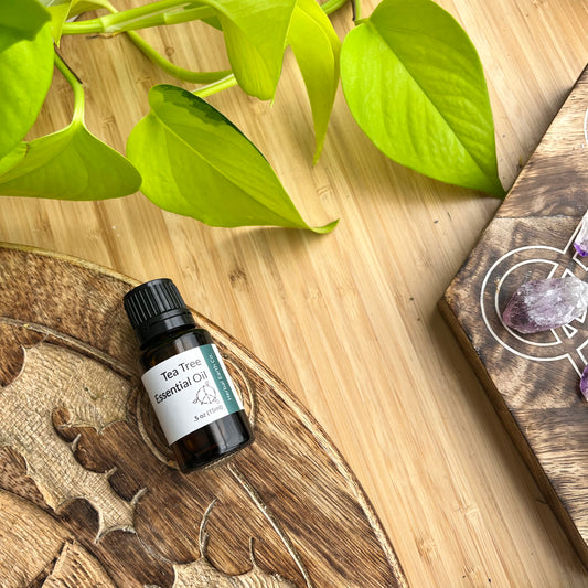 Tea Tree Essential Oil