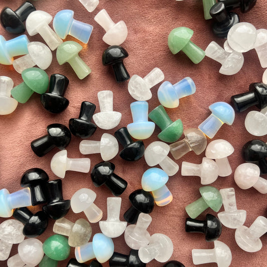 Mixed Mini Mushrooms