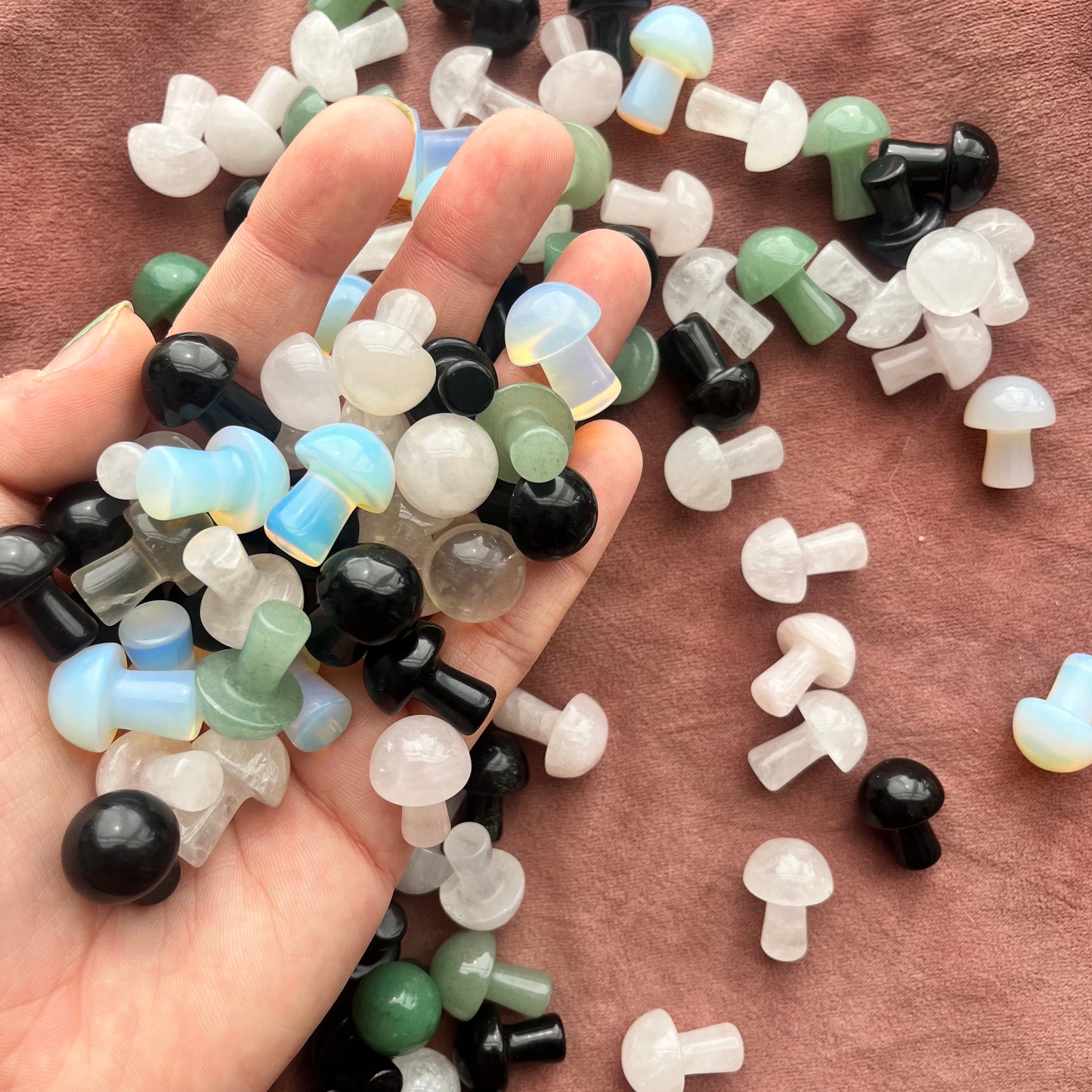 Mixed Mini Mushrooms