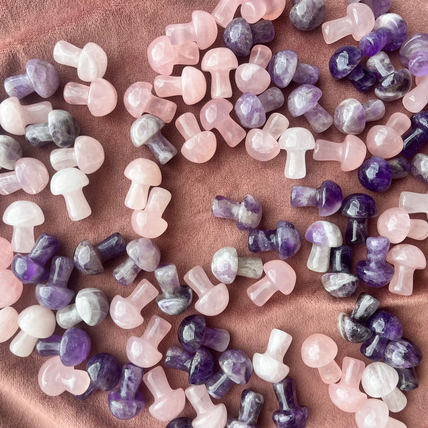 Celestial Mixed Mini Mushrooms