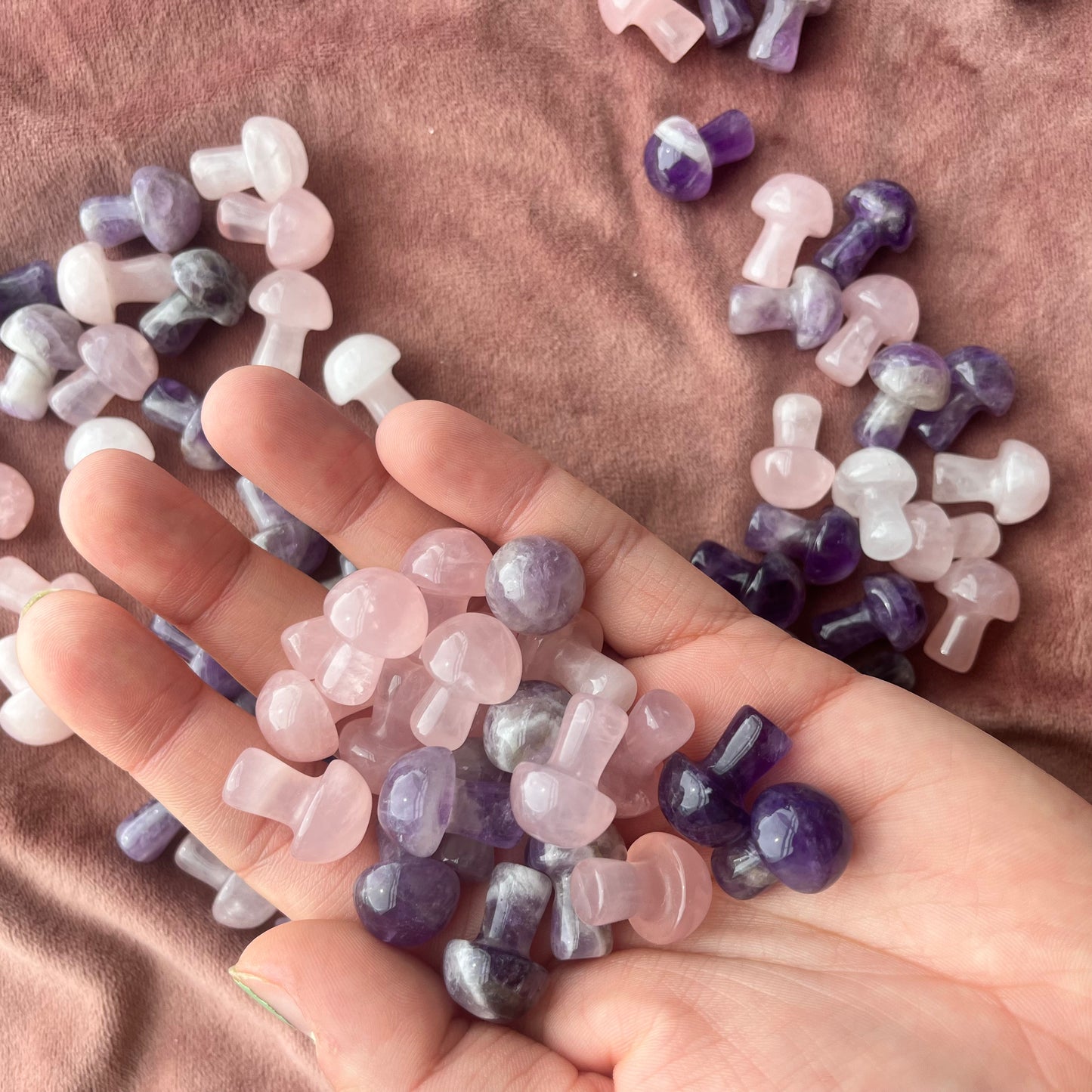 Celestial Mixed Mini Mushrooms