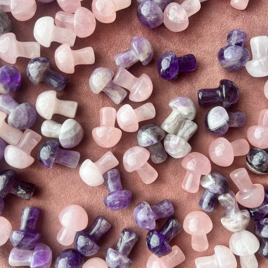 Celestial Mixed Mini Mushrooms