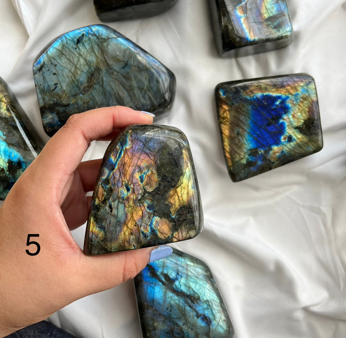 Blue Labradorite Freeforms