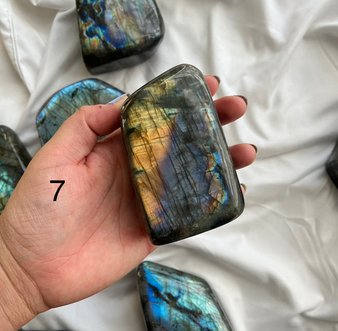 Blue Labradorite Freeforms