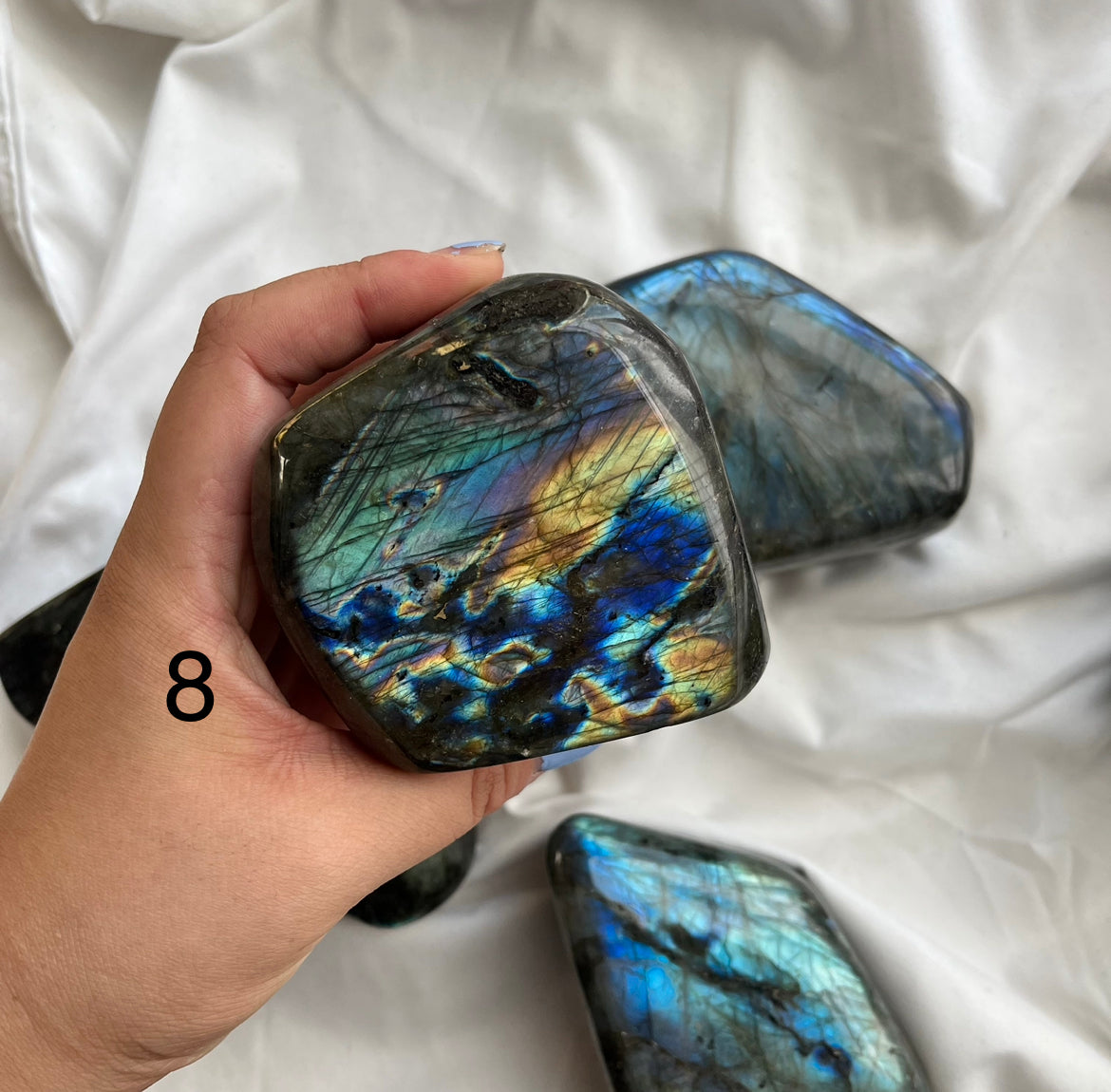 Blue Labradorite Freeforms