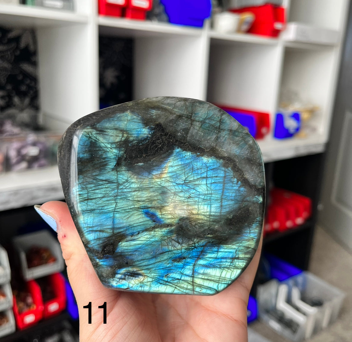 Blue Labradorite Freeforms