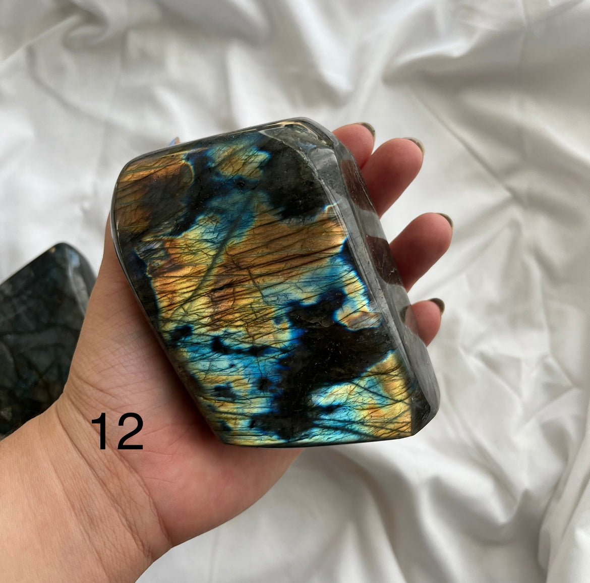 Blue Labradorite Freeforms