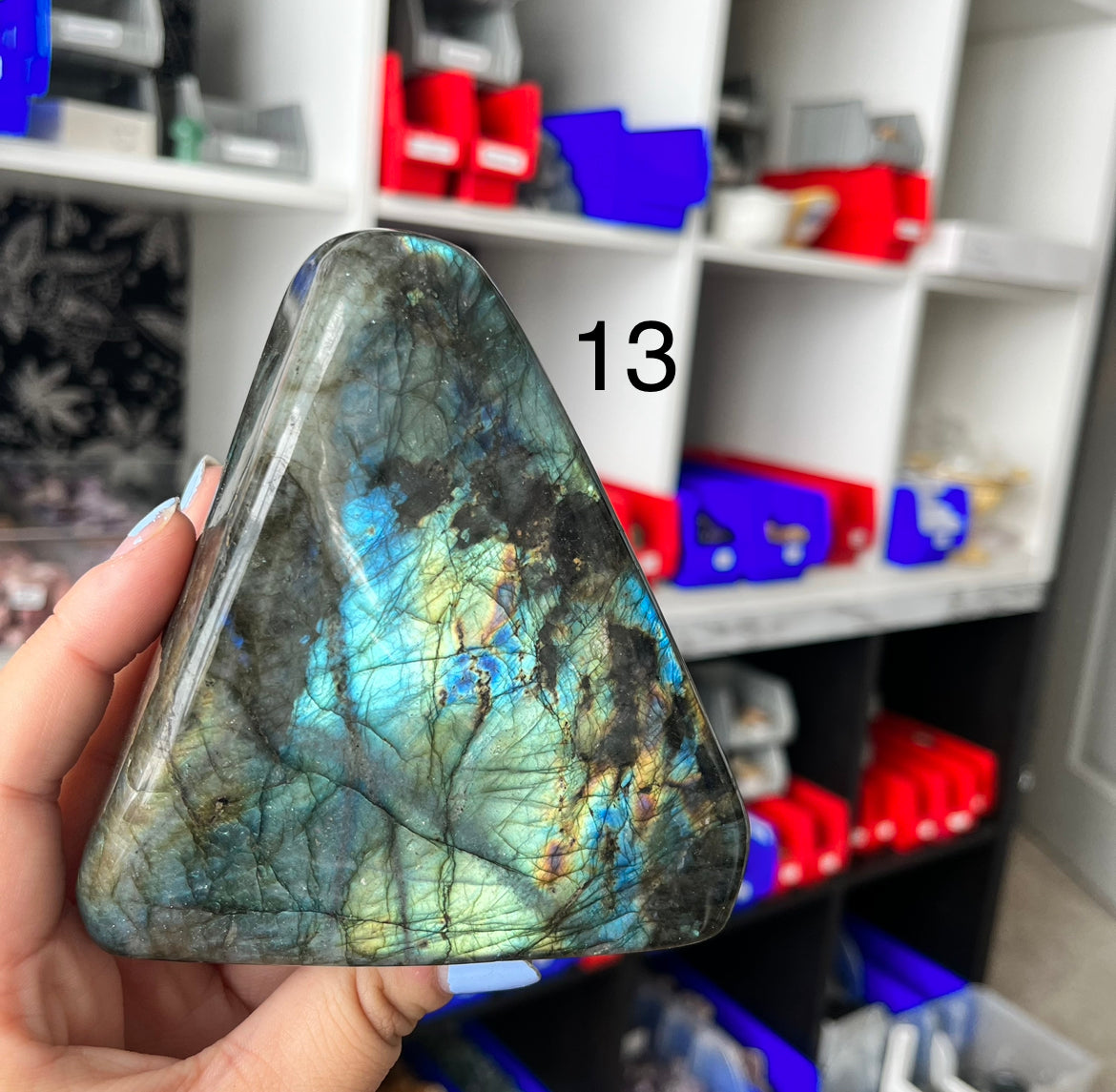 Blue Labradorite Freeforms