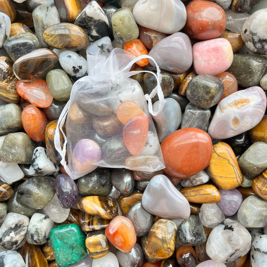 Misfit Mystery Tumble Scoops